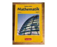 Mathematik Analysis, Band 1