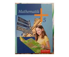 Mathematik 5