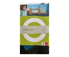 Green Line 1 für Kl. 5