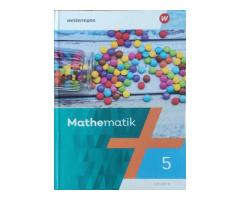 Mathematik 5