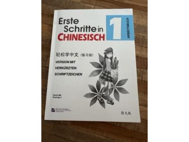 Erste Schritte in Chinesisch 1 Arbeitsbuch