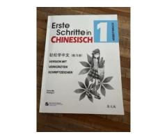 Erste Schritte in Chinesisch 1 Arbeitsbuch