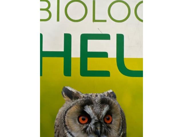 Biologie heute 2