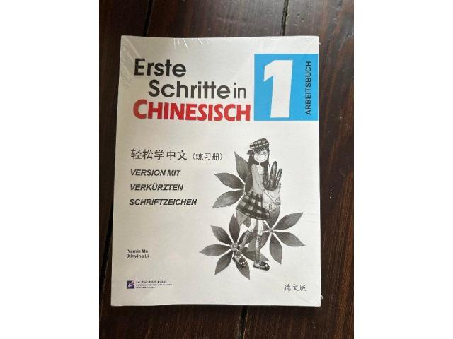 Erste Schritte Chinesisch Arbeitsbuch 1