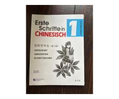 Erste Schritte Chinesisch Arbeitsbuch 1