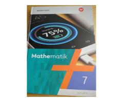 Mathematik 7